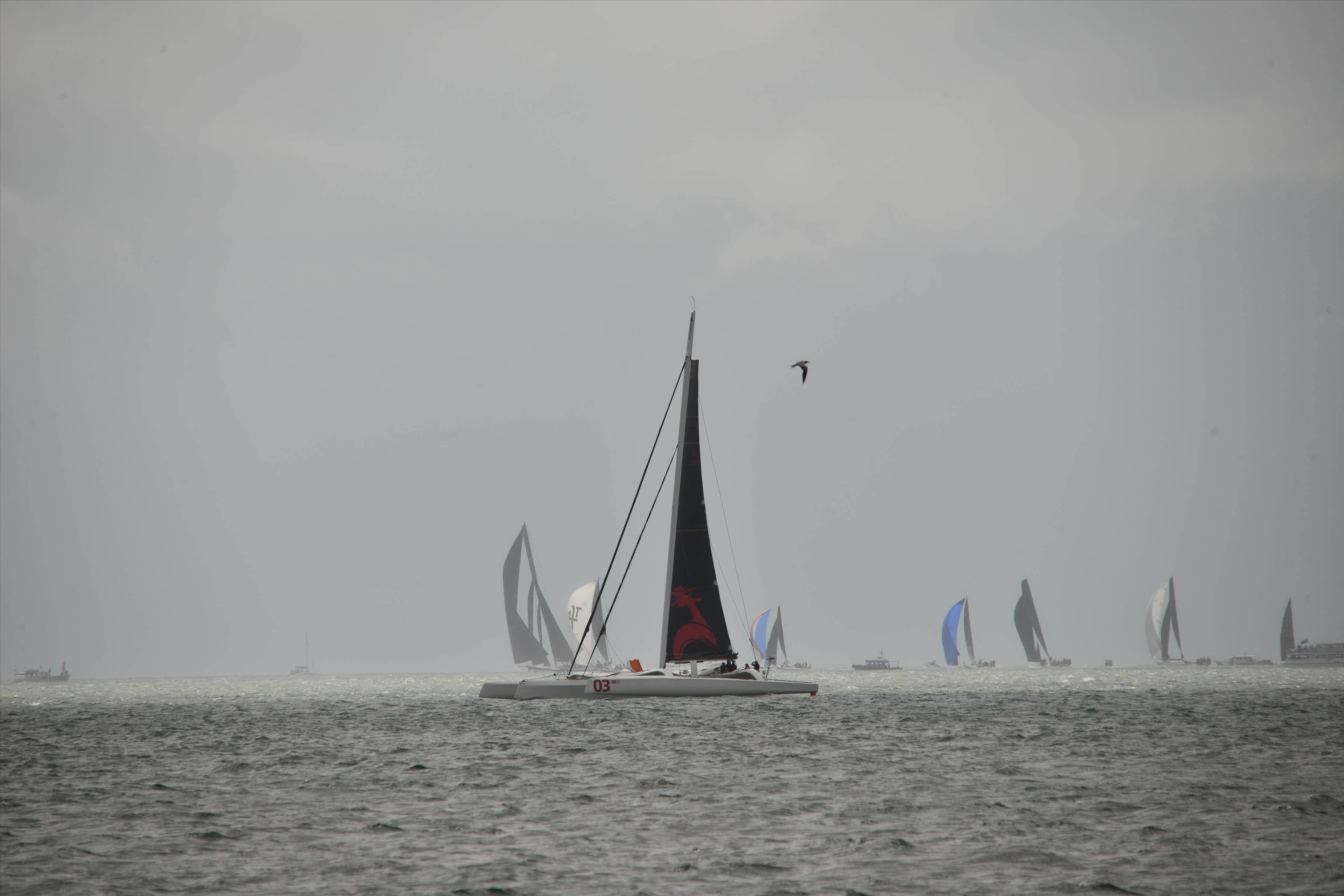 2019 Brisbane to Gladstone Multihull Yacht Race