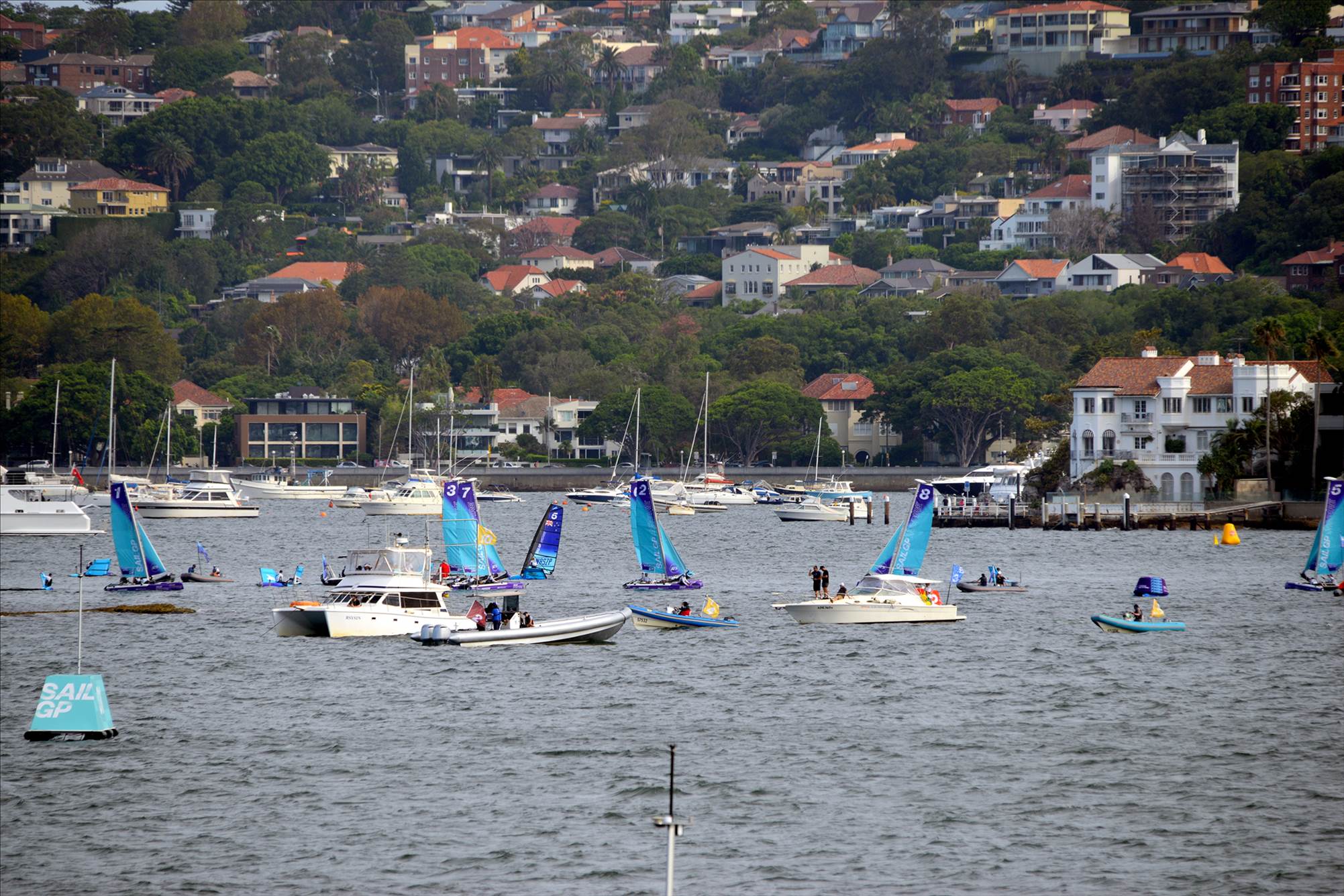 2020 Sail GP Sydney (Saturday)