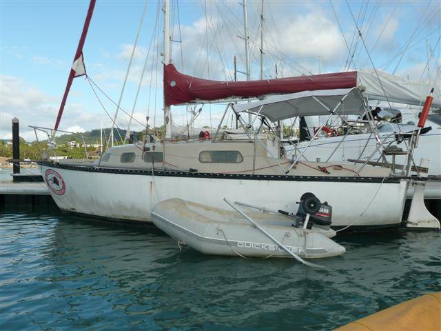 Redback 013 (Small)