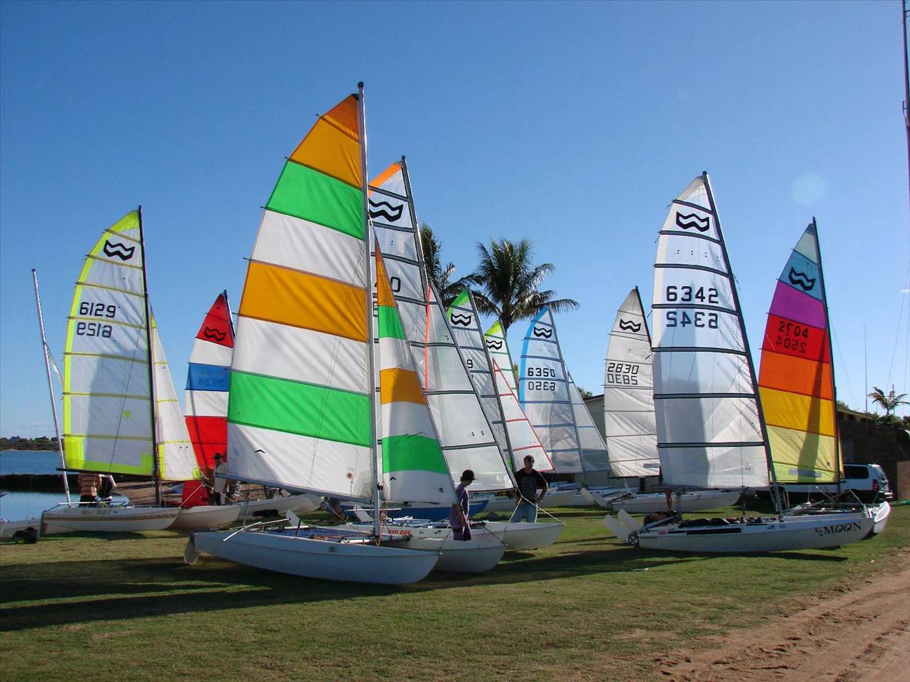 Carnarvon 2010