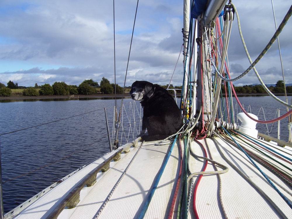 mooring