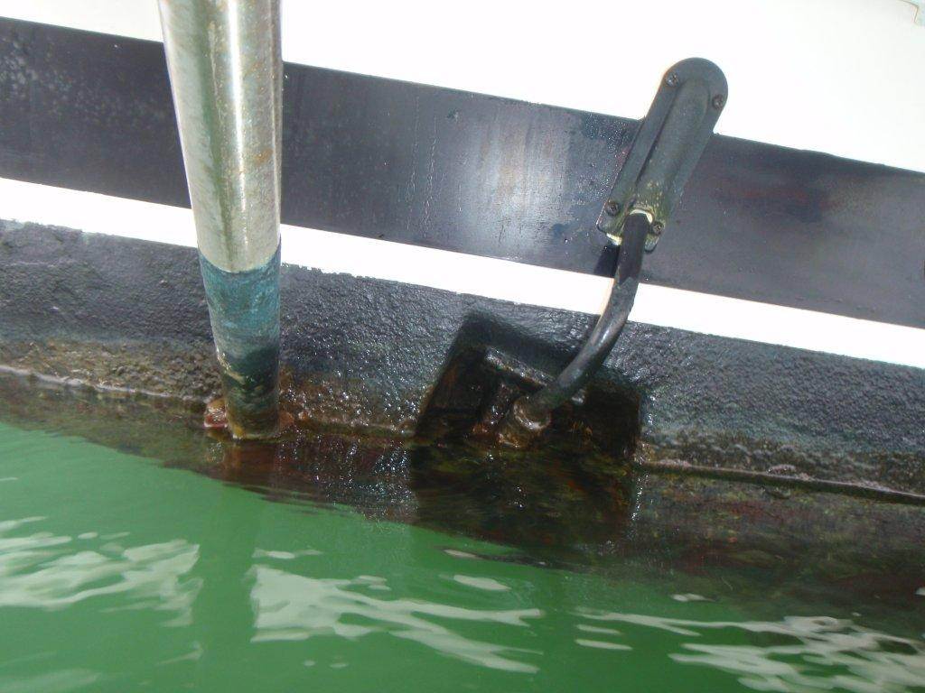 Trim Tab and strut