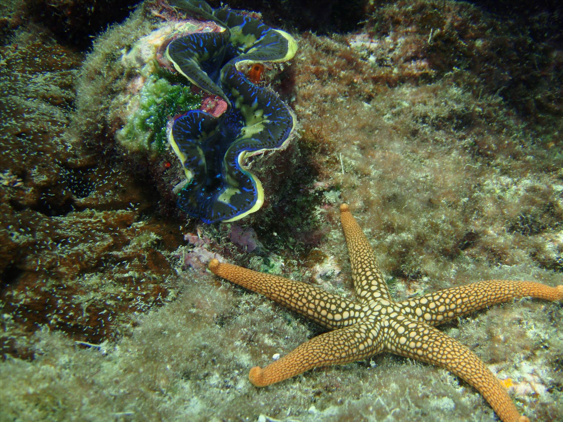 P9270303