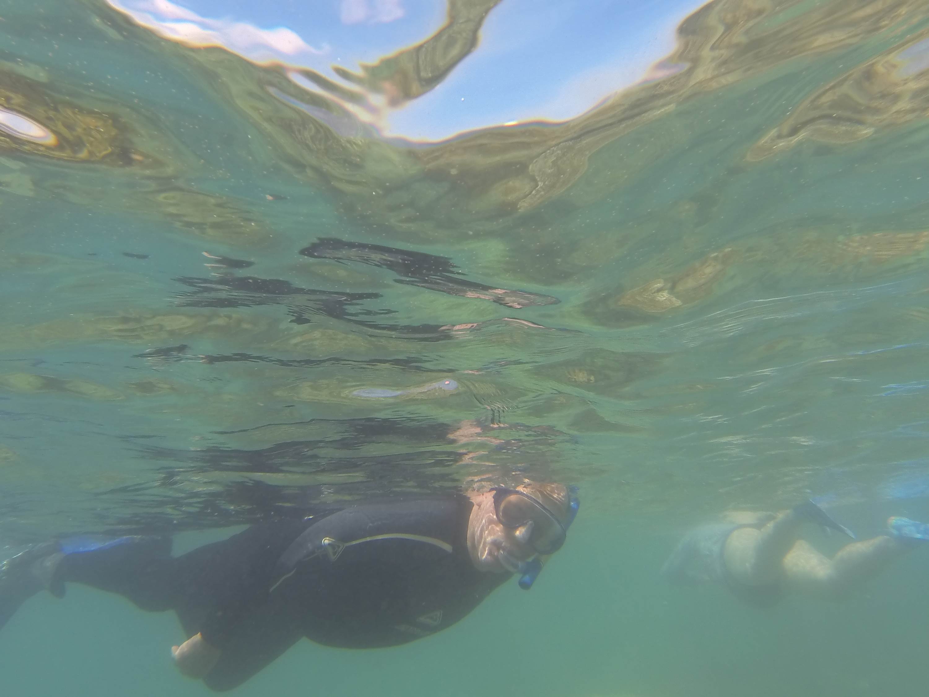 diving