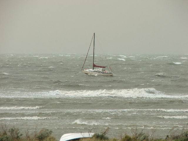 Windy day April 08 #02