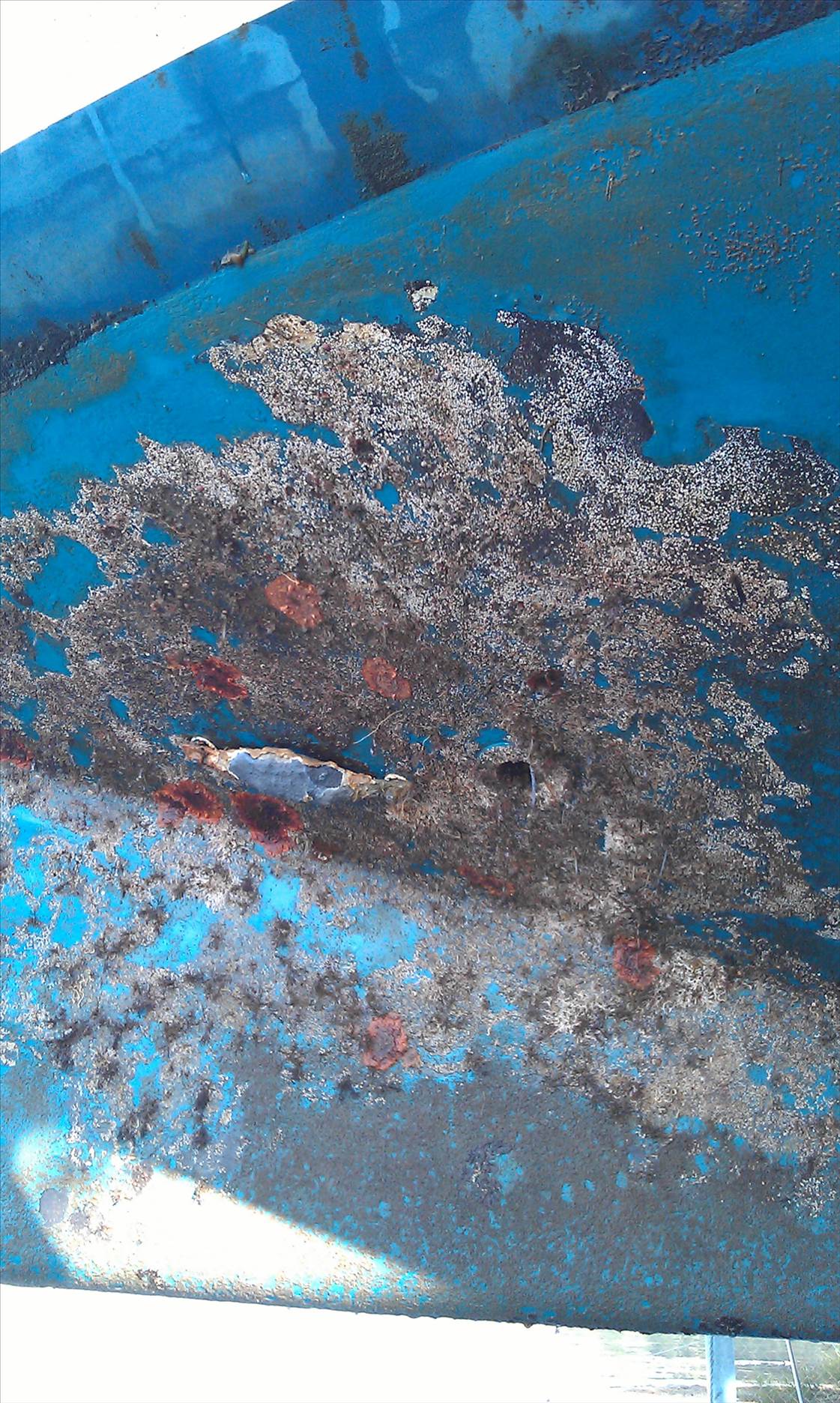 Anode Growth 1