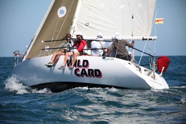 Wild Card 1