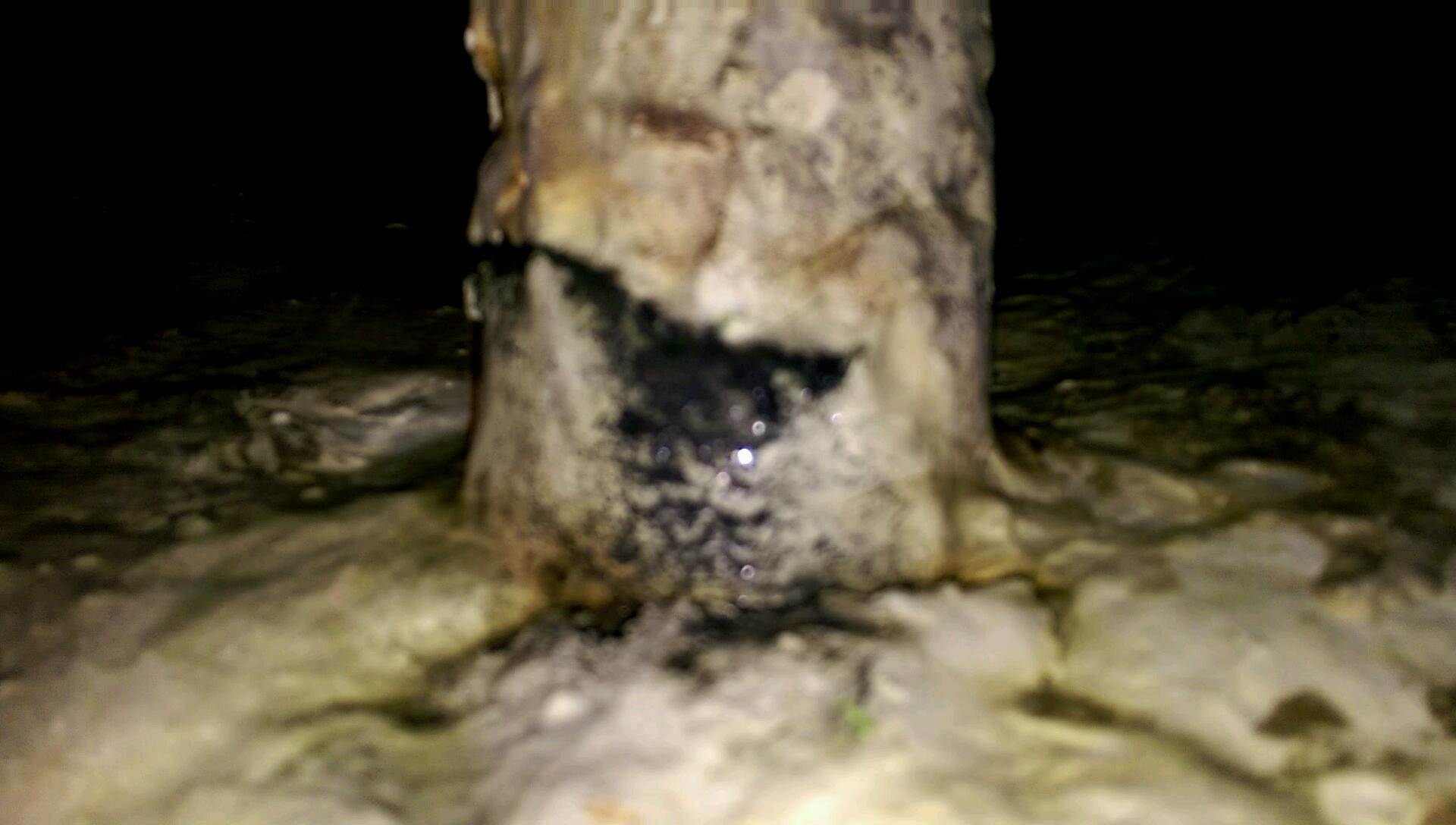 VIDEO0098 0000069848