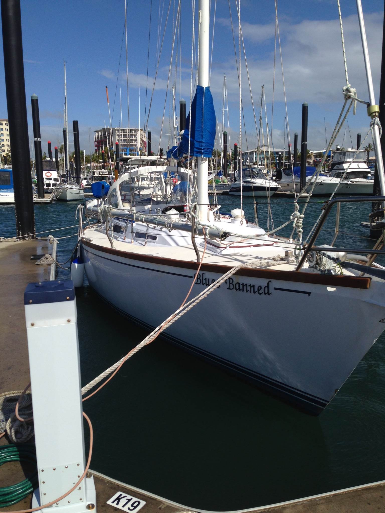 Adams 35