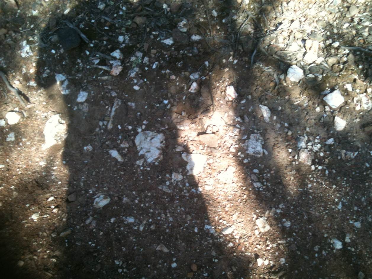 floor around shaft