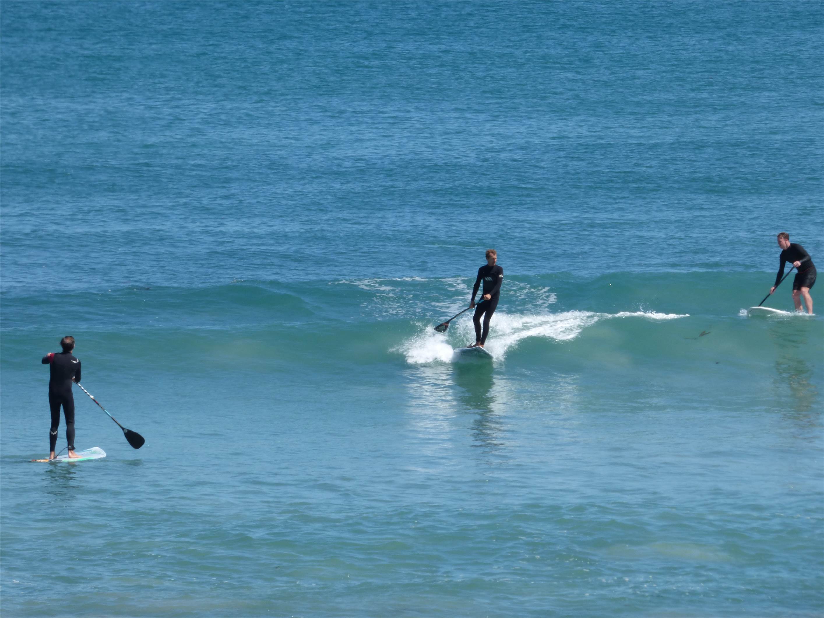 6/10/2015 Surfs up