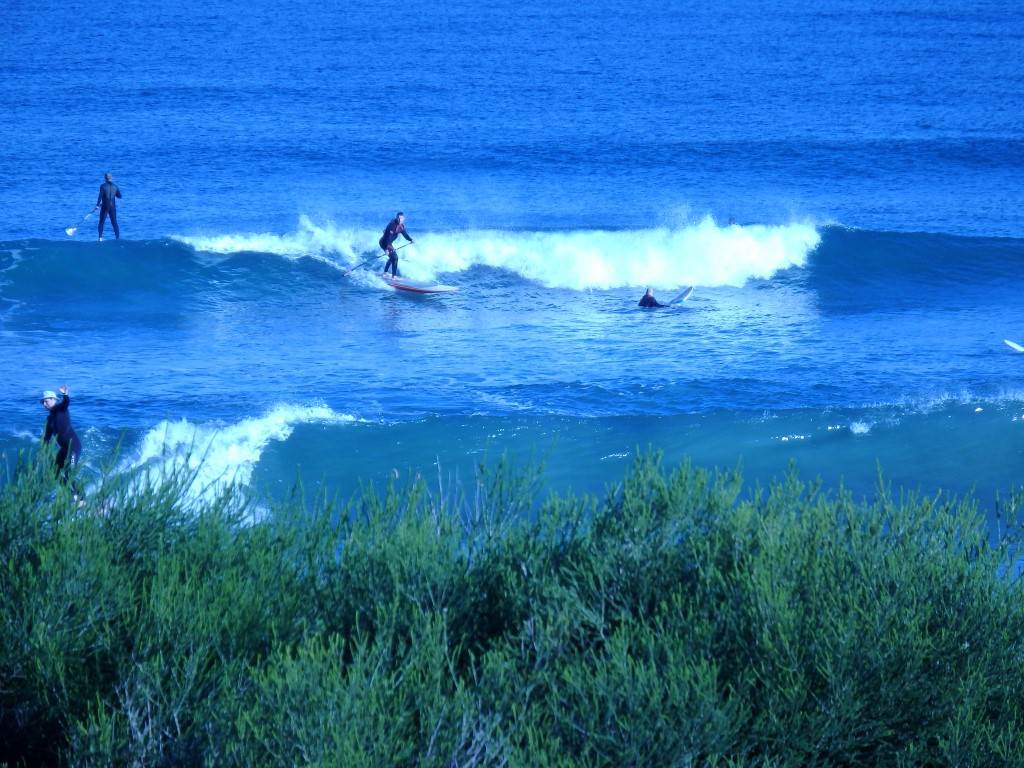 Surfs Up 2