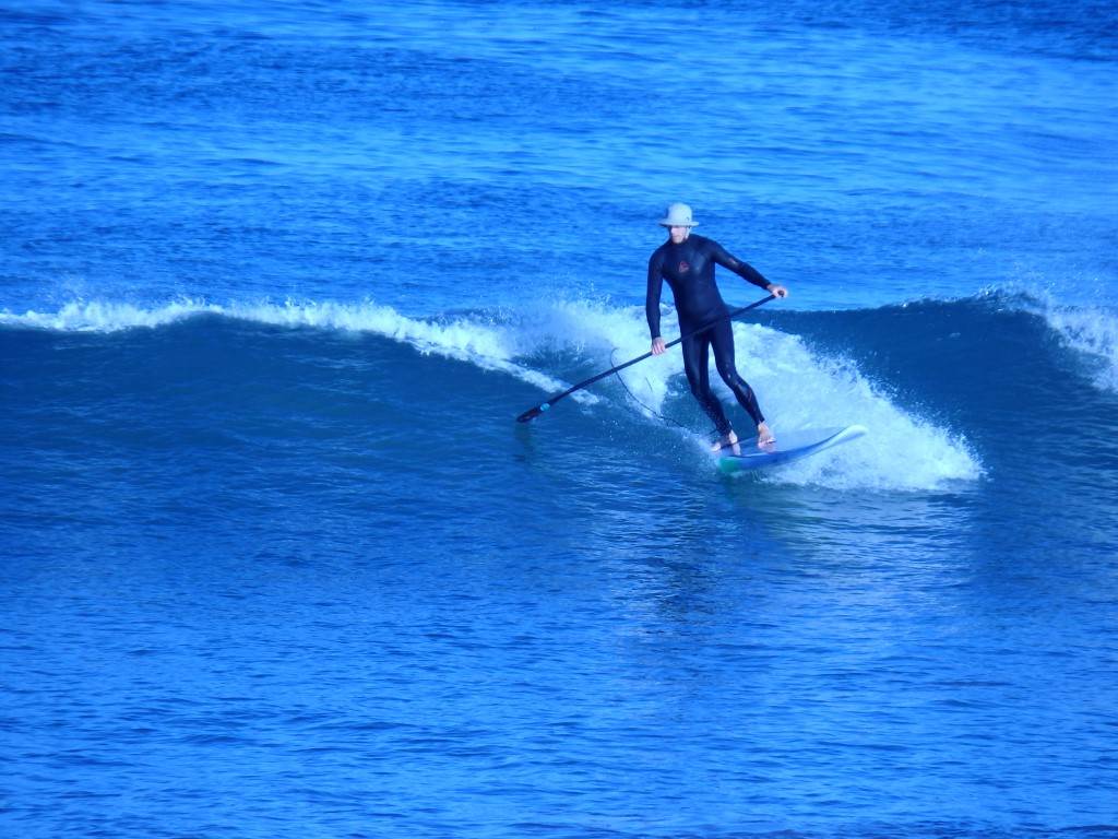 Surfs Up 2