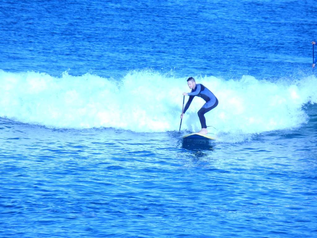Surfs Up 2