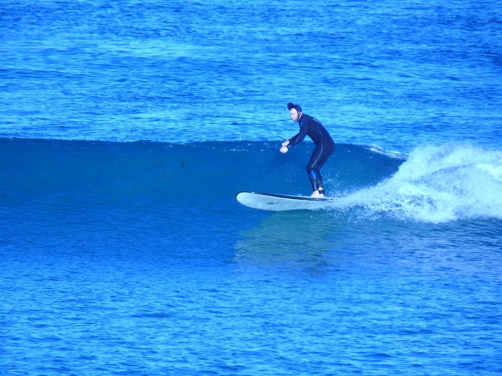 Surfs Up 2
