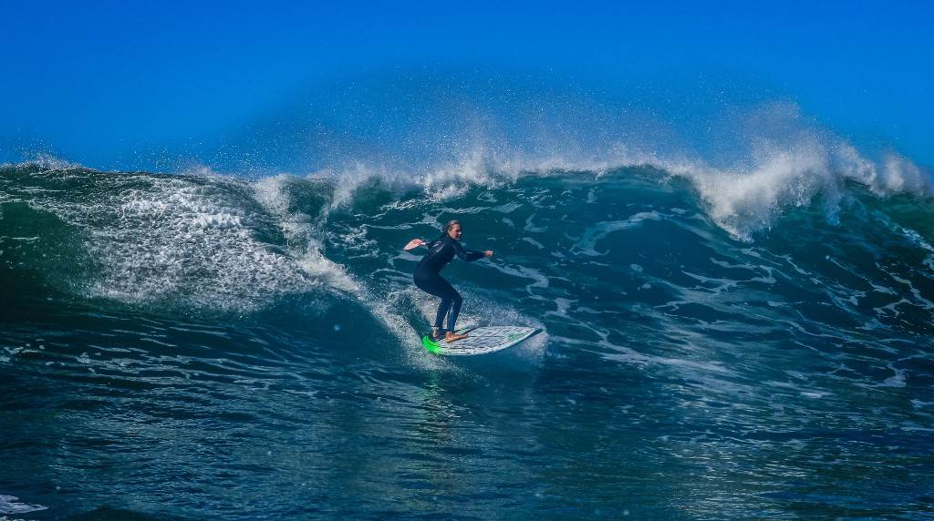 Scotts comp-287