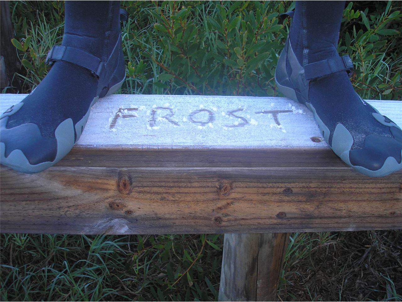 FROST BOOTIES