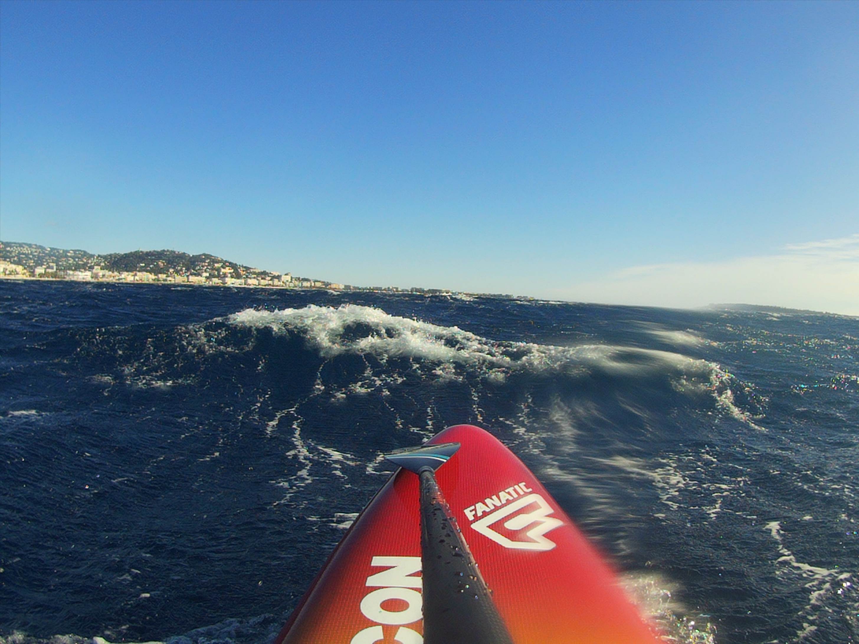 DW paddle