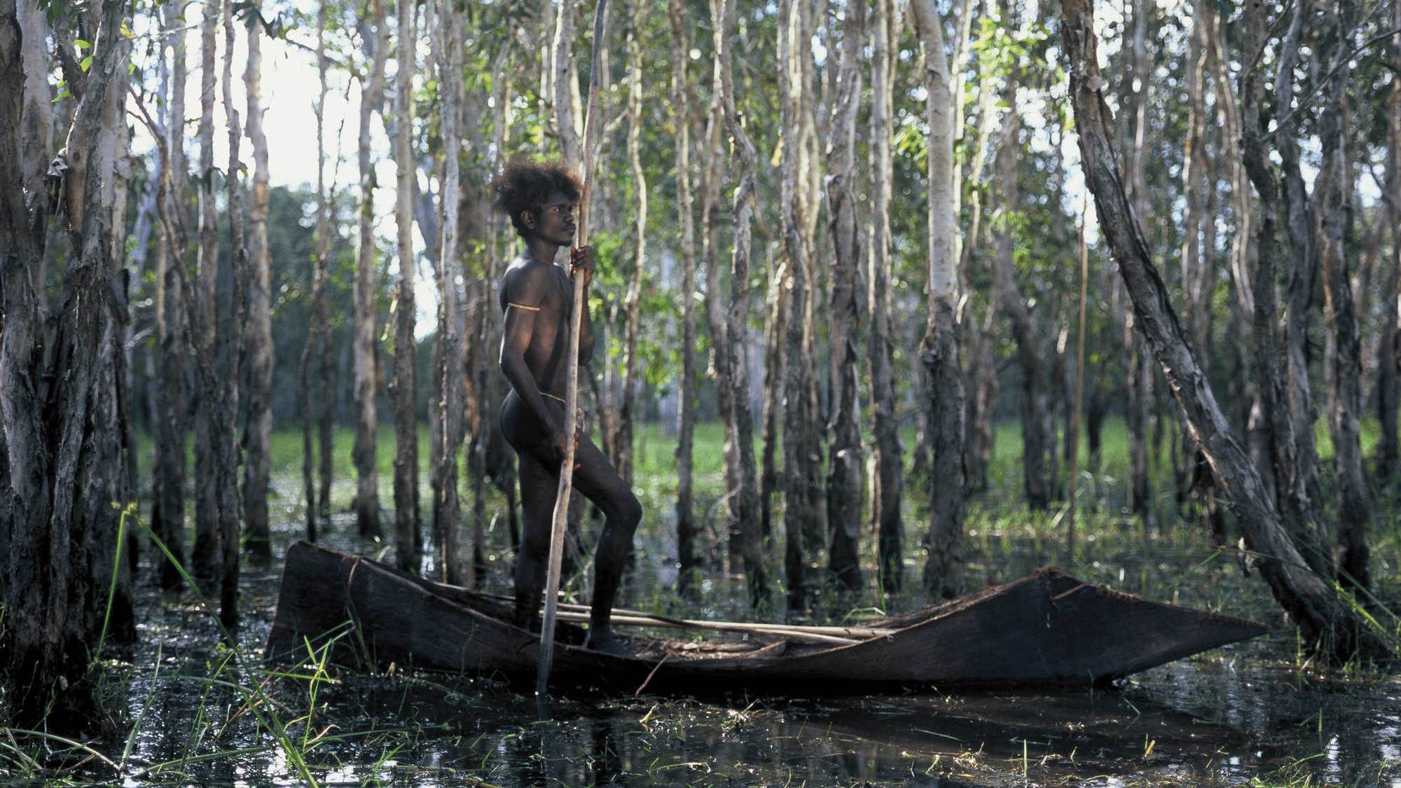 Ten Canoes