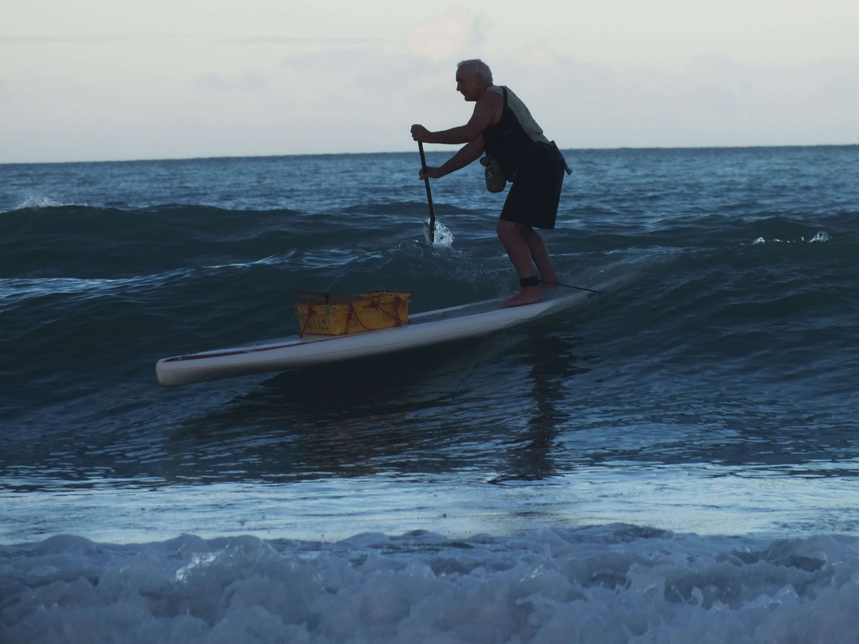 Anaura bay 1 (4)