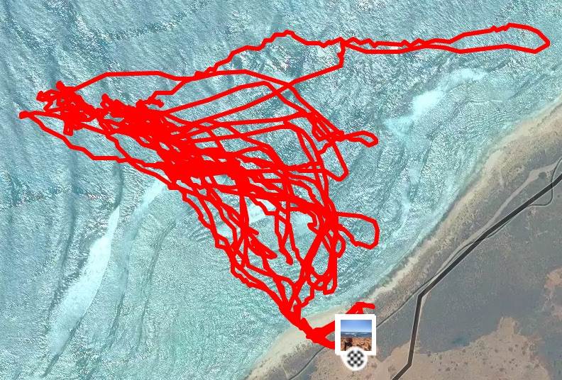 Got to fencies      Stand Up Paddling   Strava