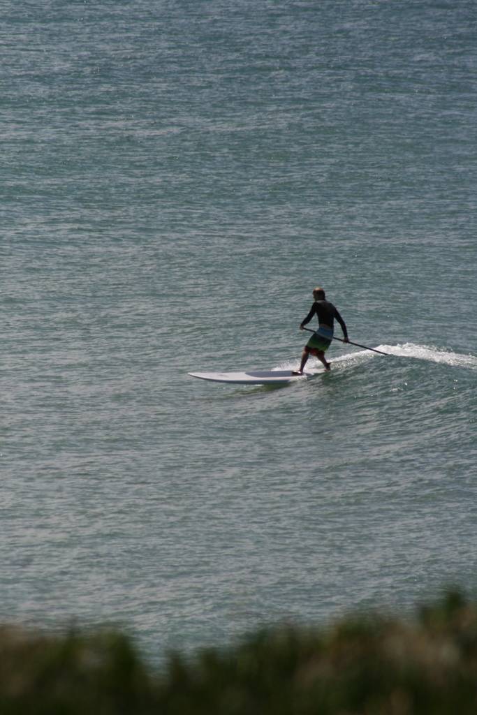 Sunny Sunday SUPing