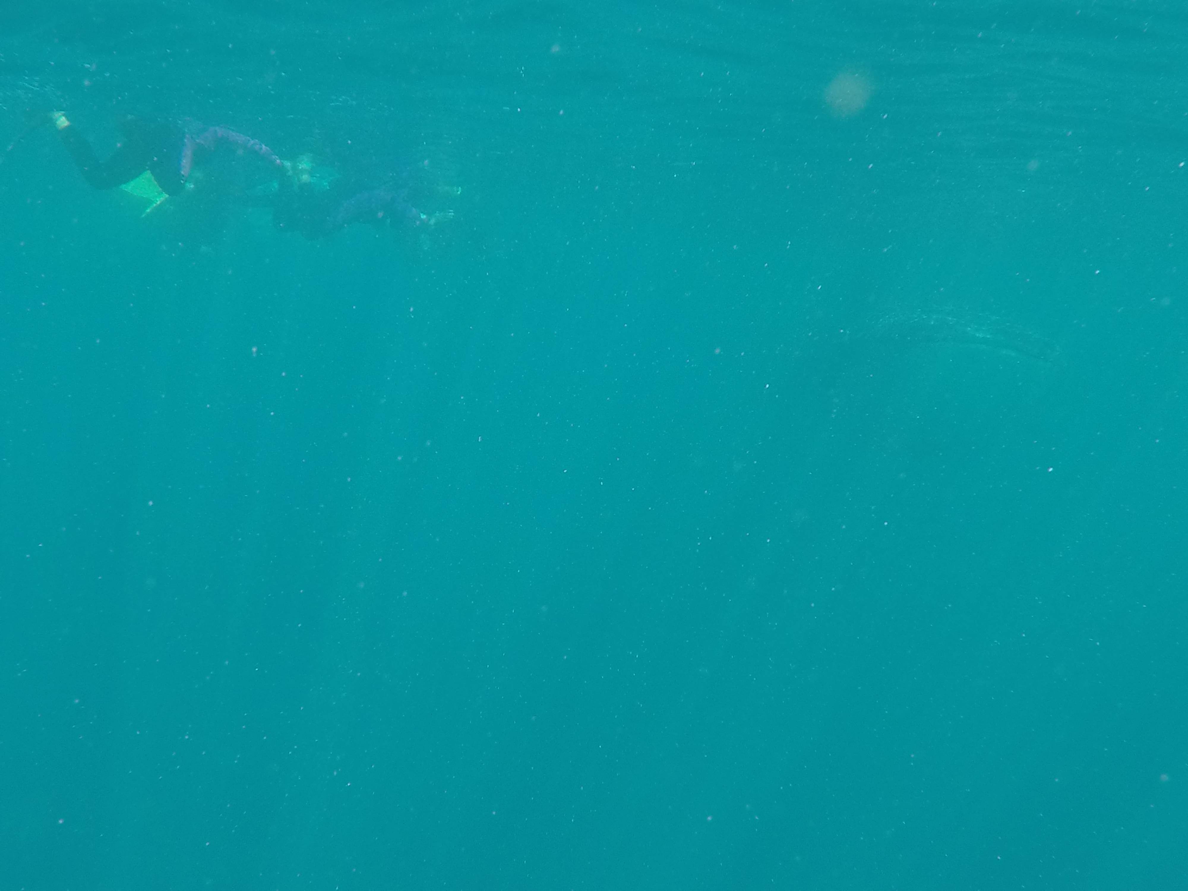 G0385852