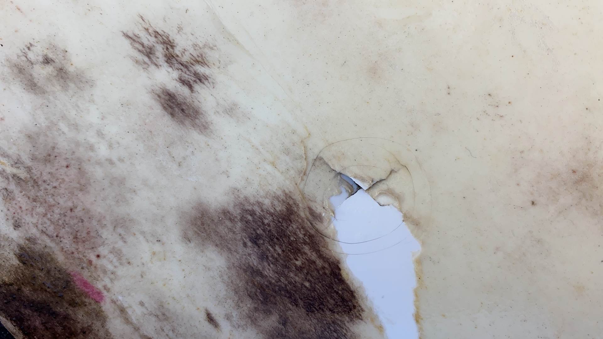 Ding repair advice