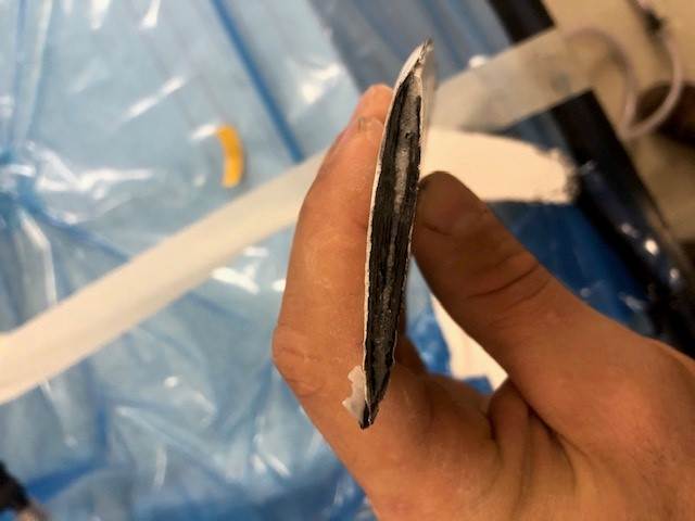 wing3