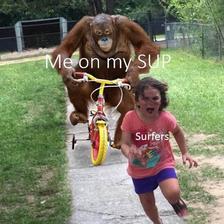 Surfers