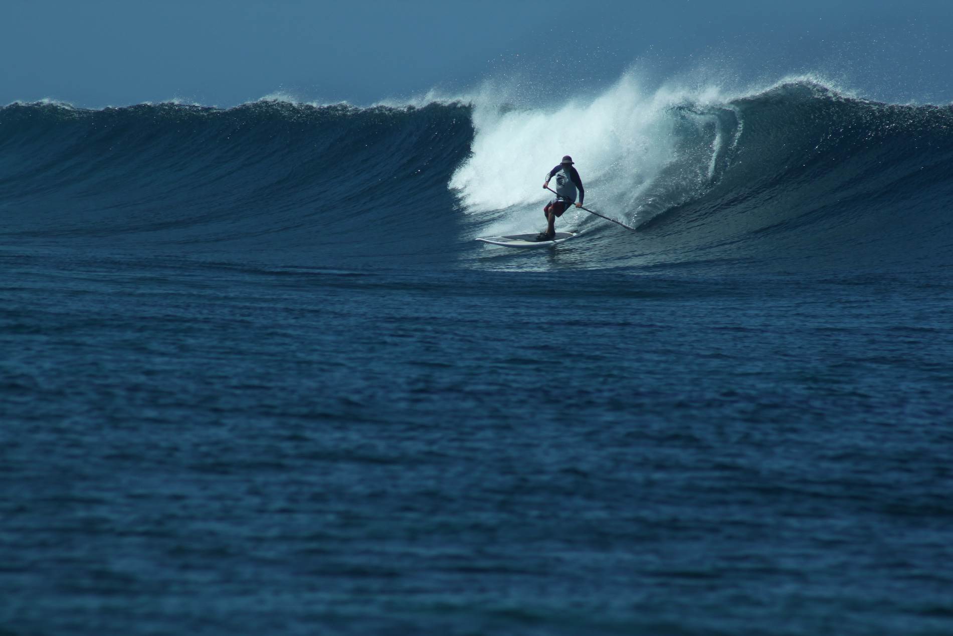 FIJI2739
