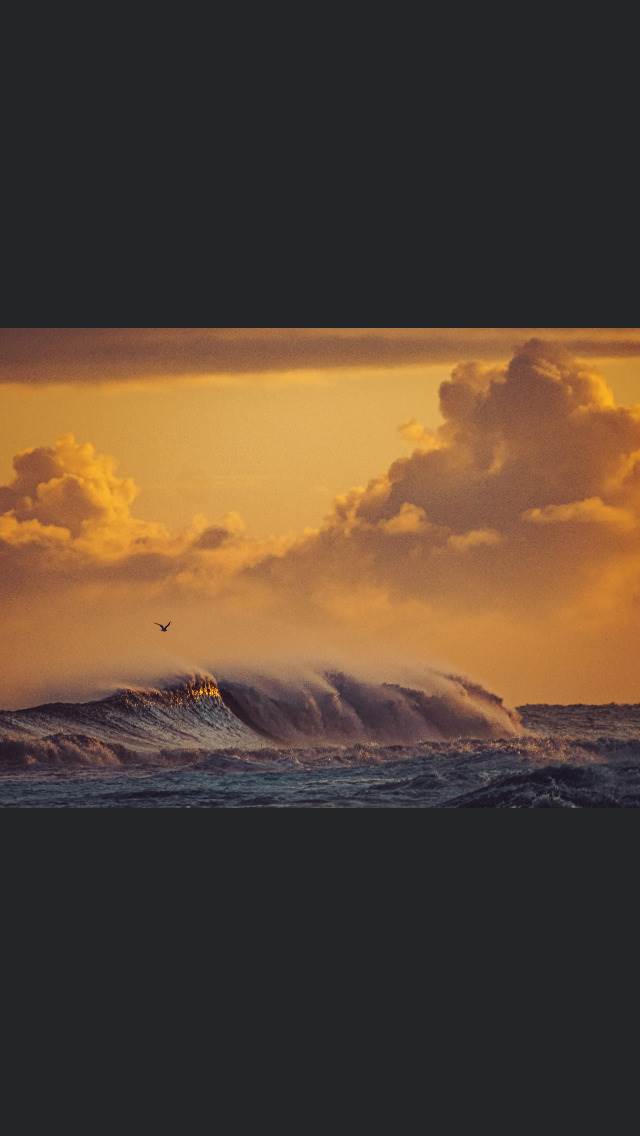Wave