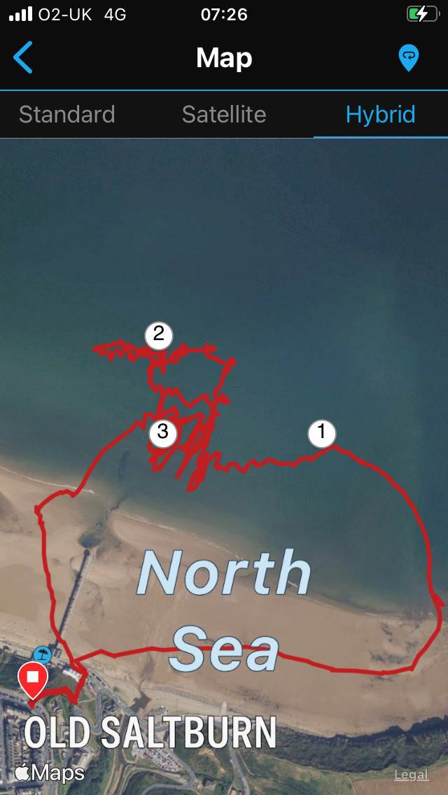 Gar1