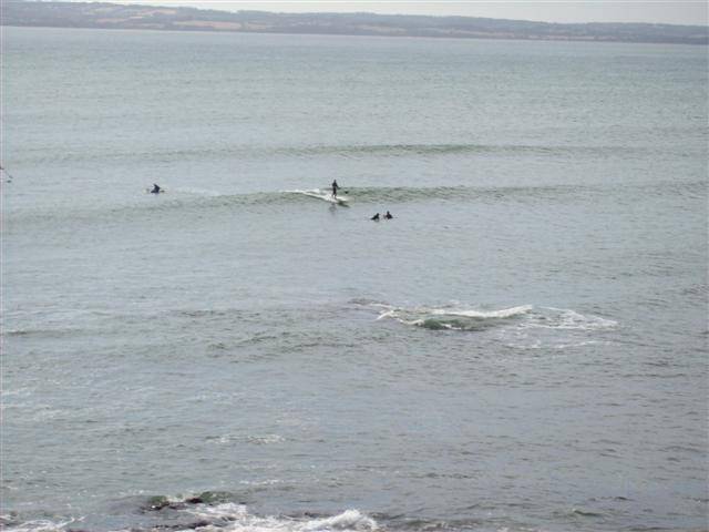 100 0226 (Small)