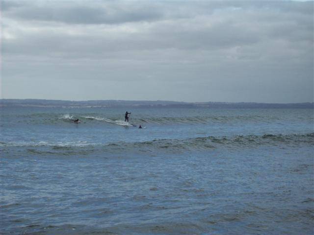 100 0233 (Small)