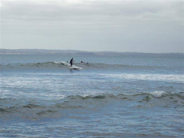 100 0236 (Small)