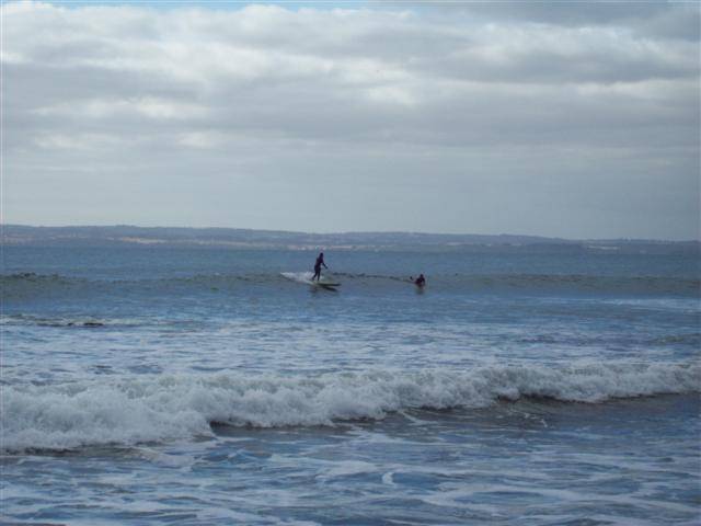 100 0238 (Small)