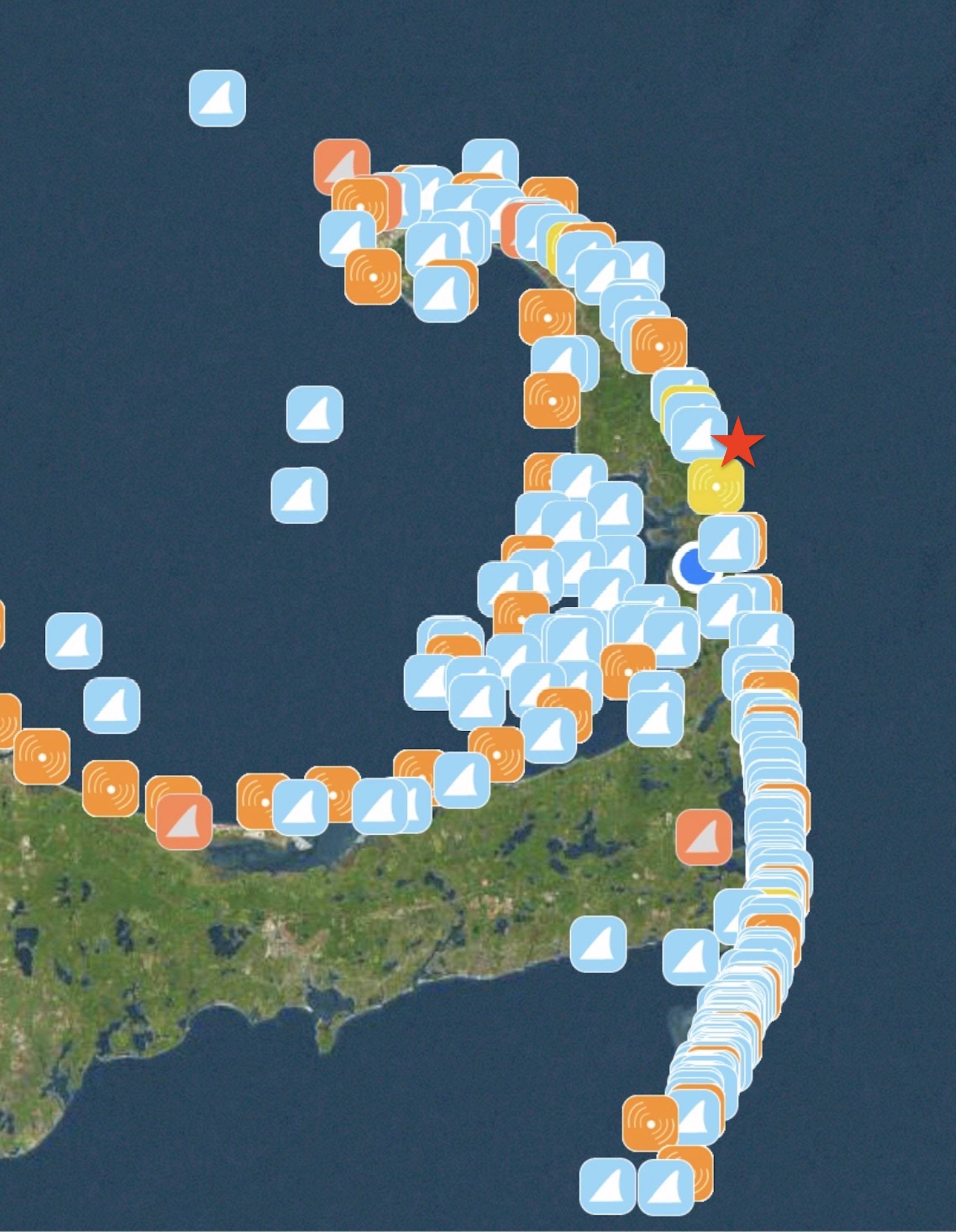 1 a sharktivity