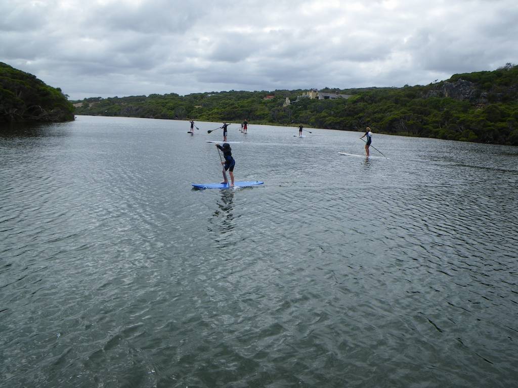 MRpaddle 2