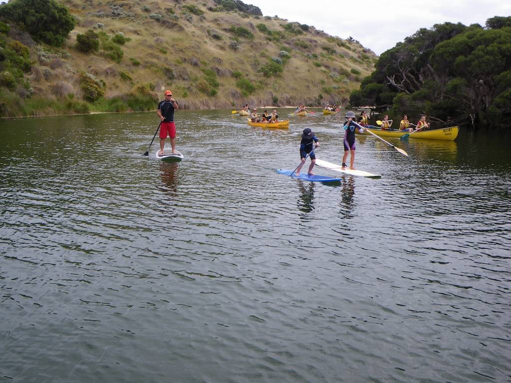 MRpaddle 4