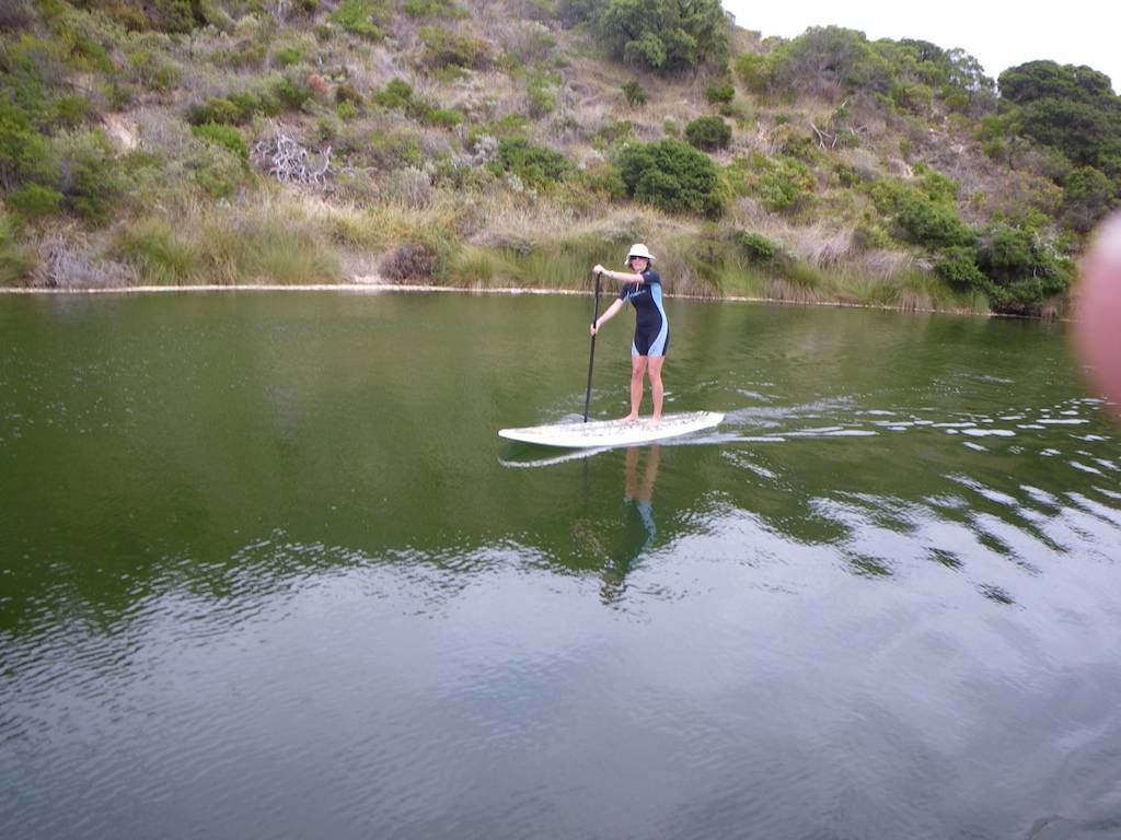 MRpaddle 5