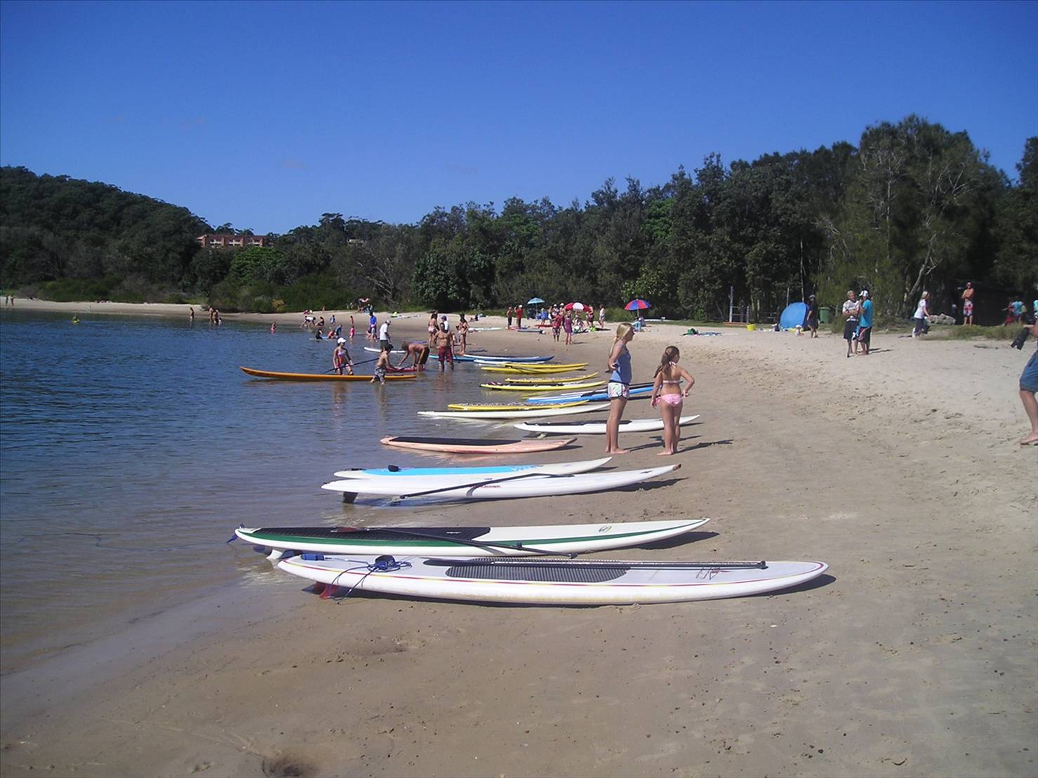 The line up