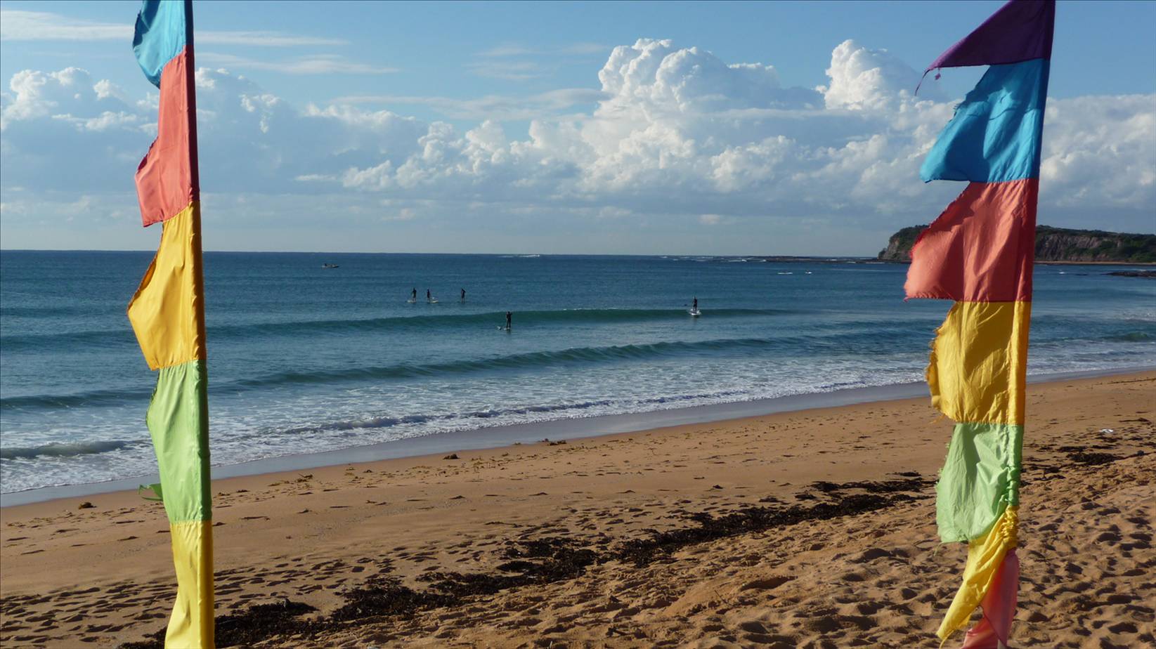5 sups collaroy