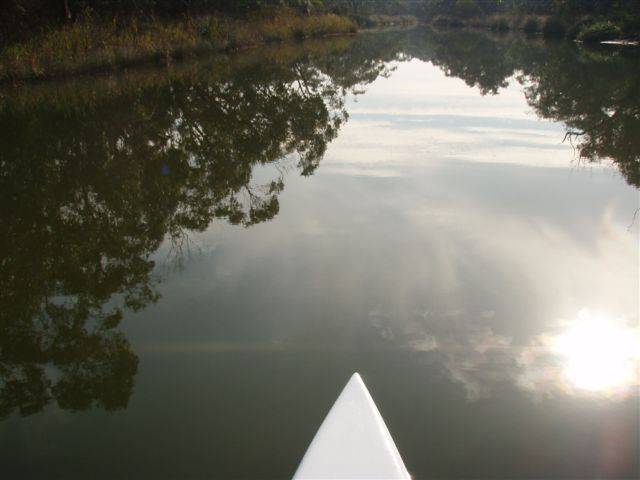 ANGLESEA RIVER 026