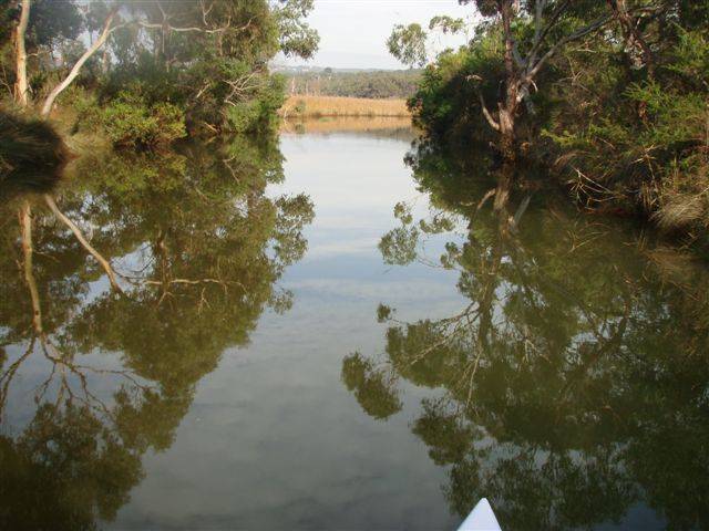 ANGLESEA RIVER 031
