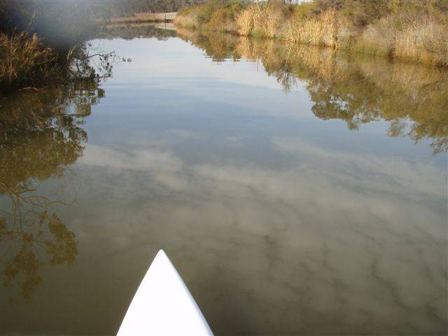 ANGLESEA RIVER 037