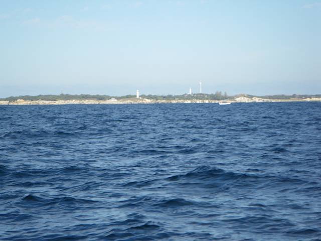 gilligans 7