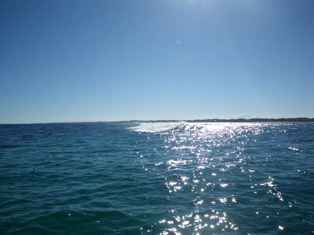 gilligans 8