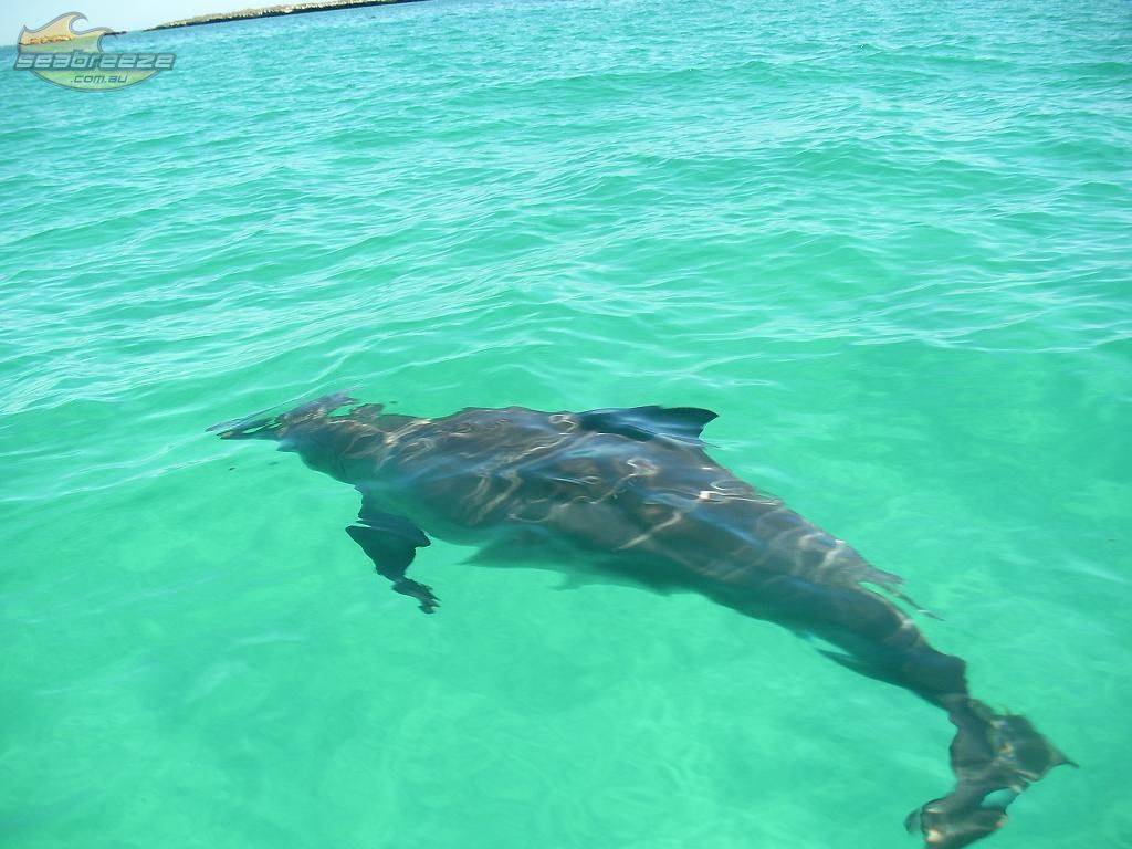 A SUP Odyssey
