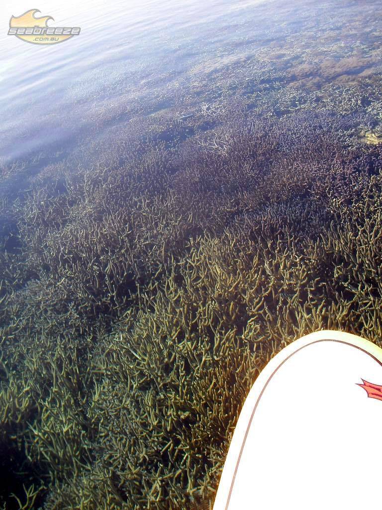 A SUP Odyssey